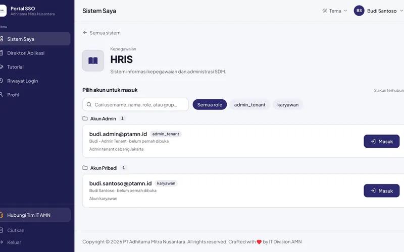 Portal SSO AMN — Access per system
